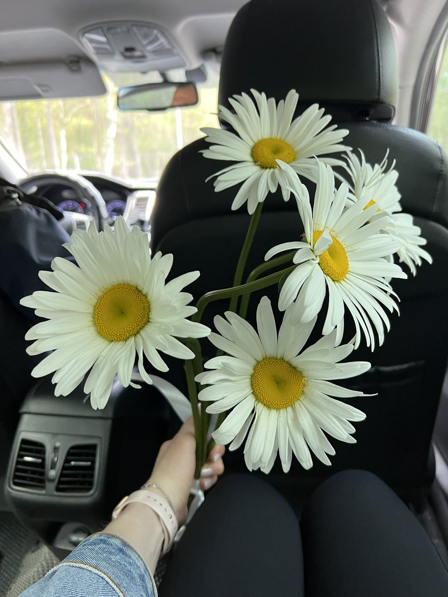clipclop_'s tweet photo. Не смогла пройти мимо отвратительно больших и длинных ромашек https://t.co/kIL91rl1Vw