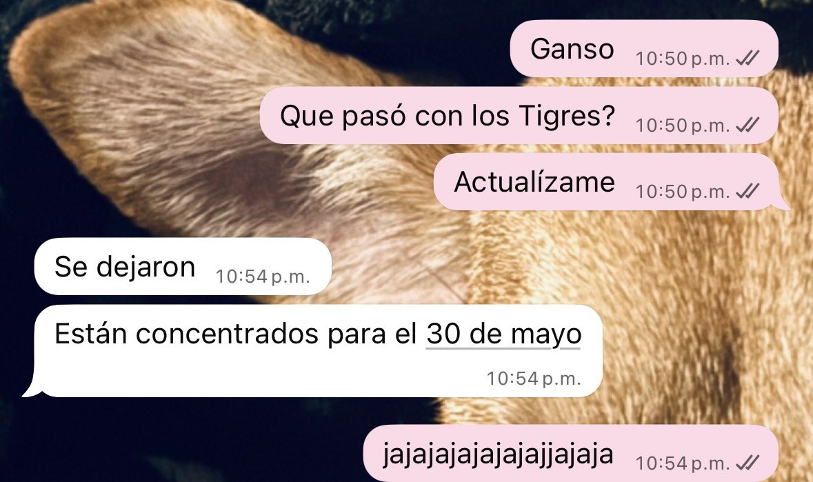 JAJAJAJAJAJAJAJAJ ¿todo bien en la cabeza de ganso?