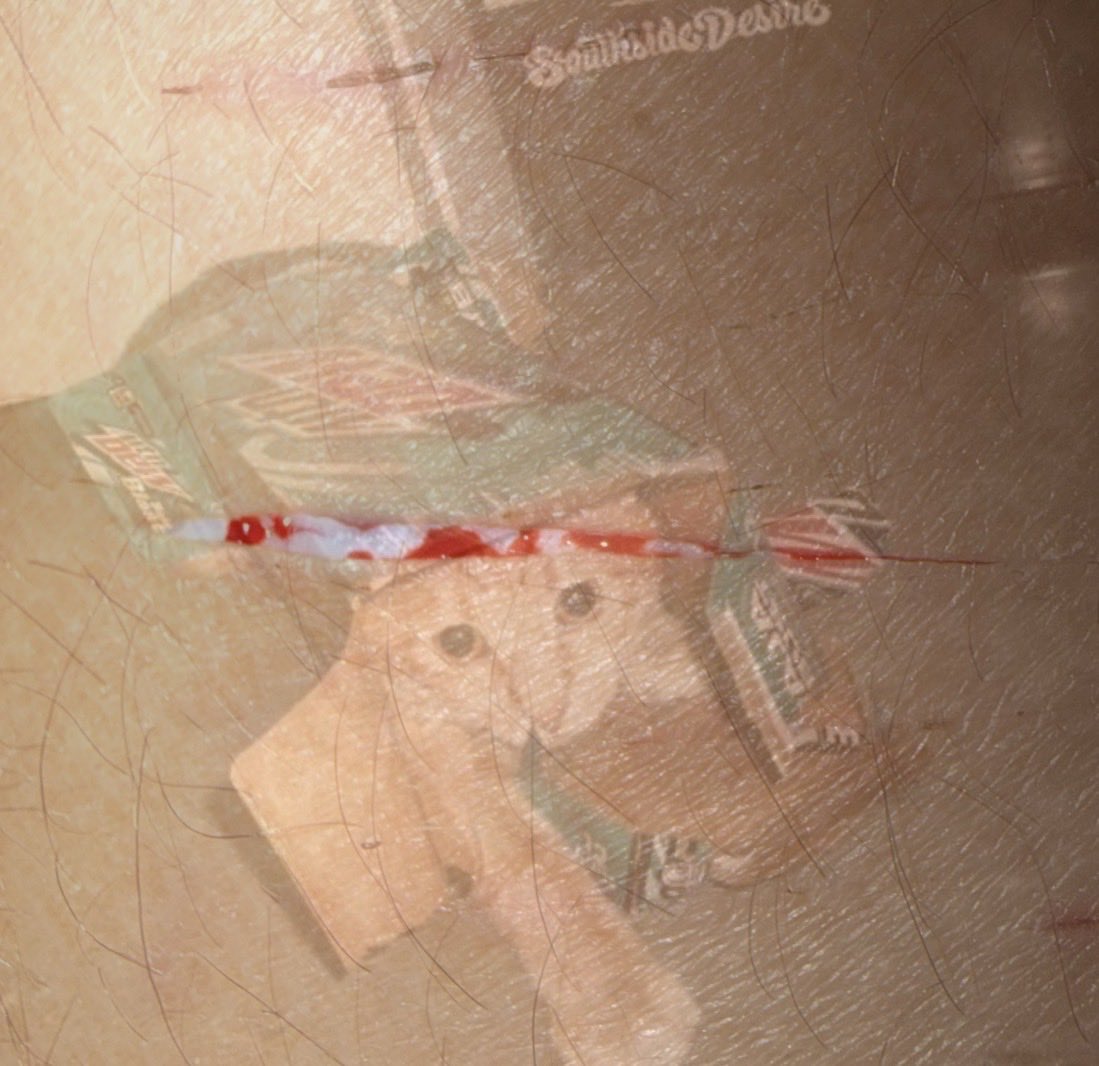PetRat tweet media