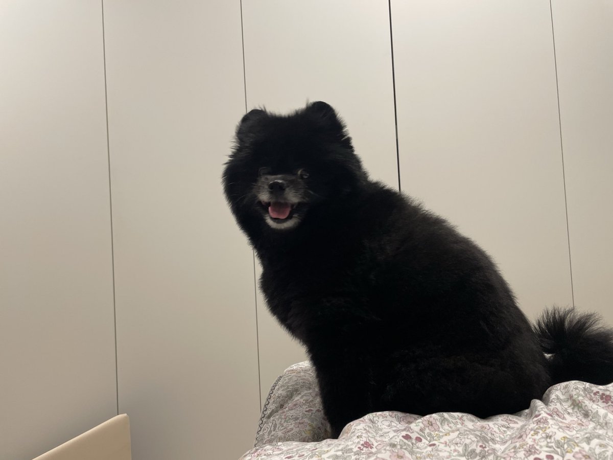 김유겸 tweet media