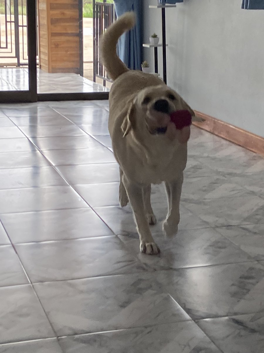 🏳️🌈🦋🌻 มามี๊น้องหมั่นโถวヾ(´ﻌ`) 💫🤍 tweet media