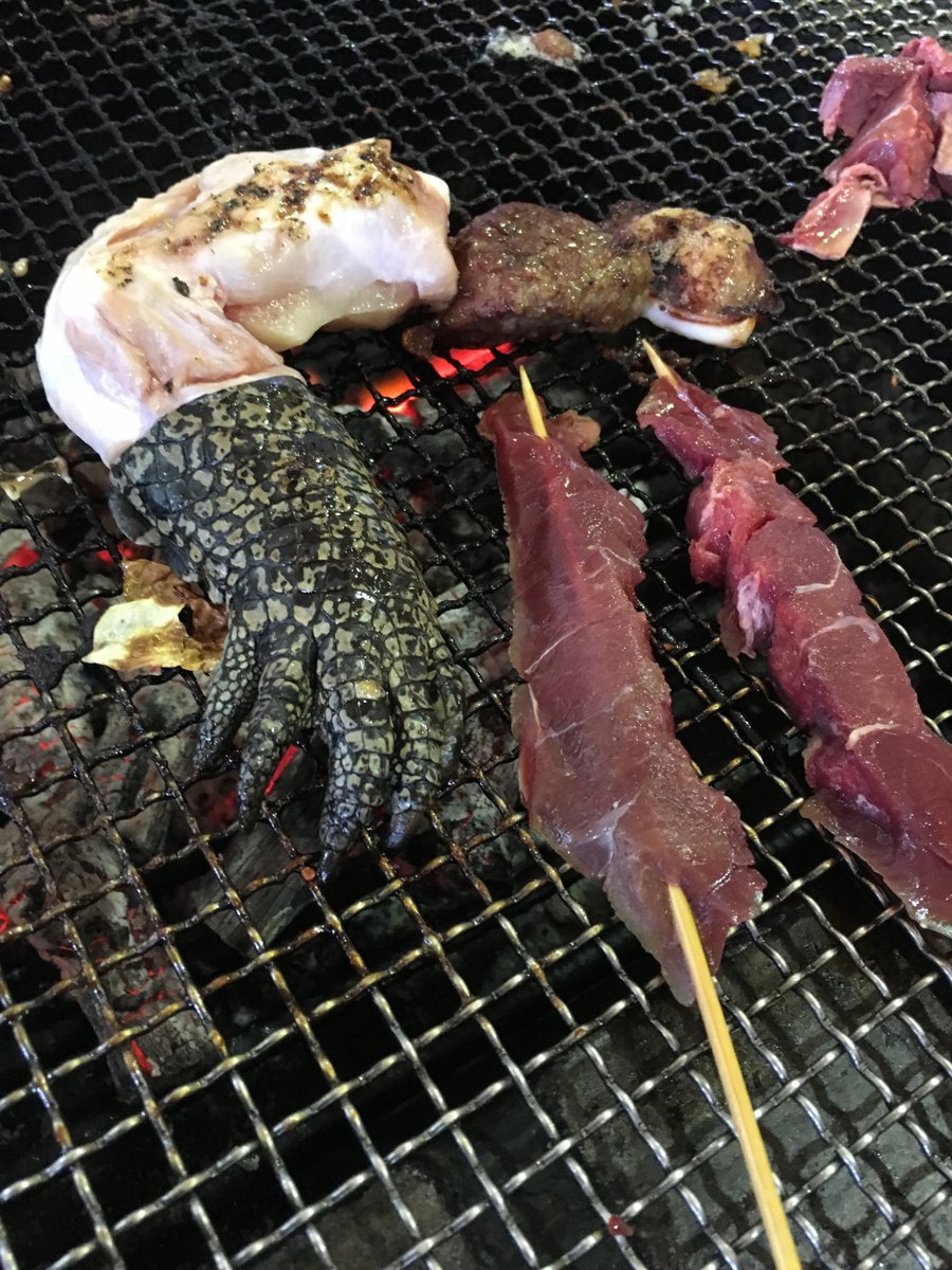 くー@CAMP tweet media