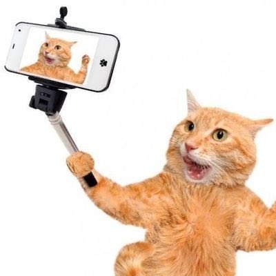 RODNY ♡✦ tweet media