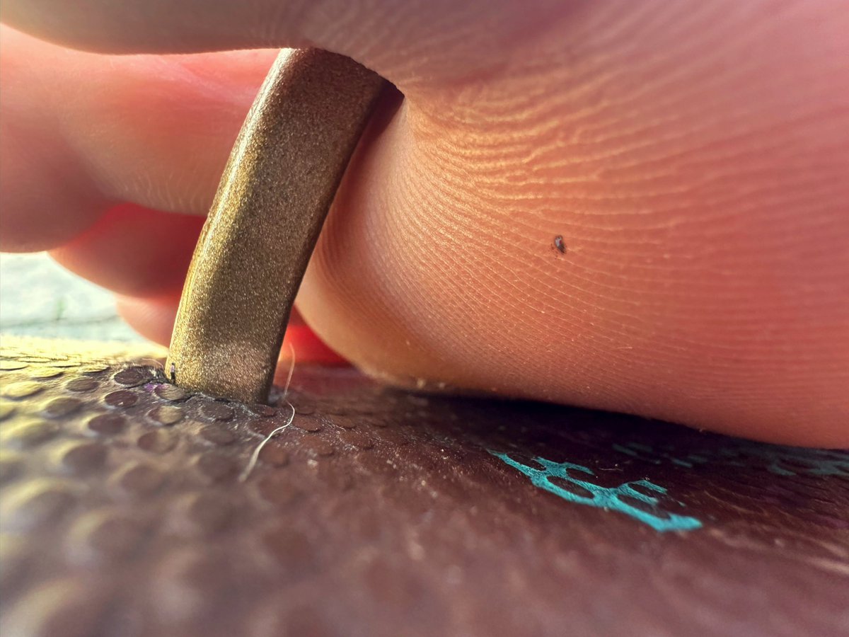 Frequent_Improb's tweet photo. Two part story featuring @heavenly_gts #giantess #sizetwitter https://t.co/POV0P04kax