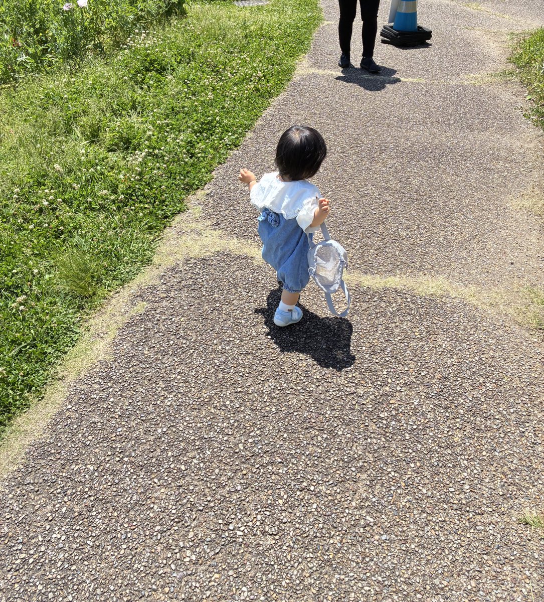 どば tweet media