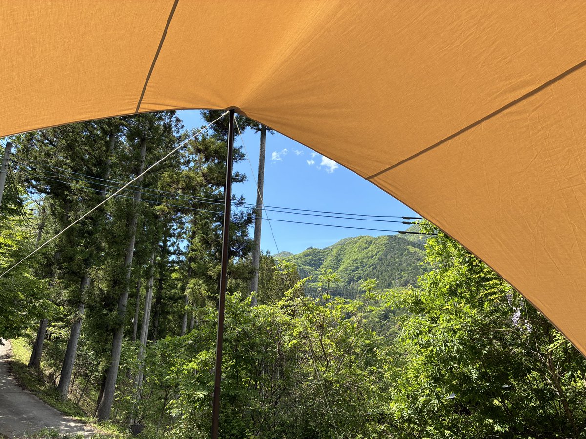 うーたんめん。 tweet media