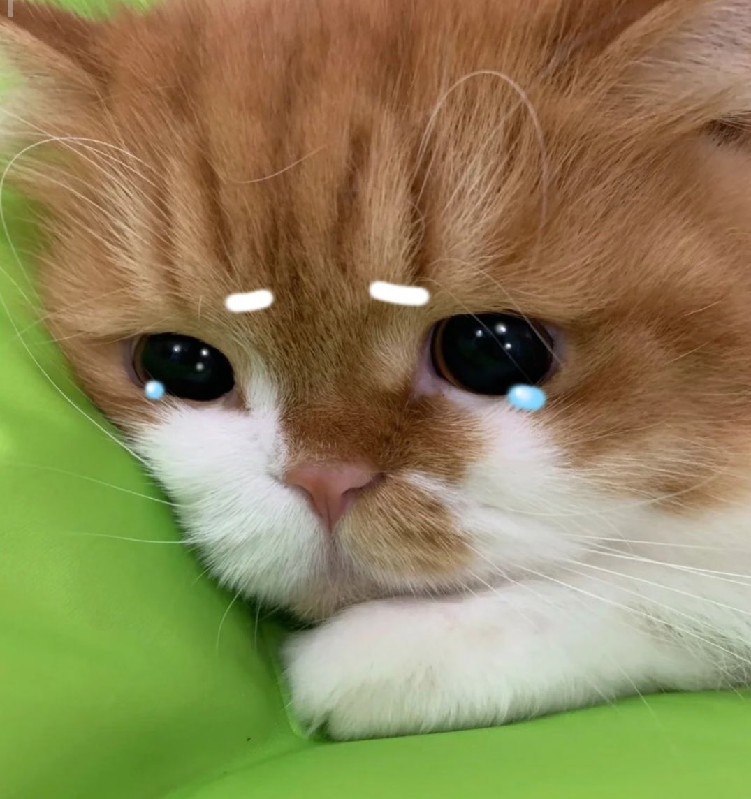 AnaMeowAna's tweet photo. 求助，堂吉柯德最好用的跳蛋是哪款啊。没有性生活我手工活还不行吗
#性瘾 #跳蛋 #自慰 https://t.co/vD8AwMzRGw