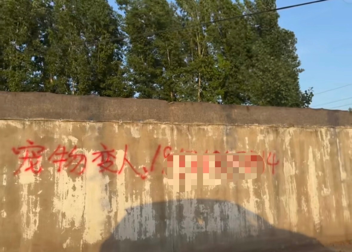 由依🍥 tweet media