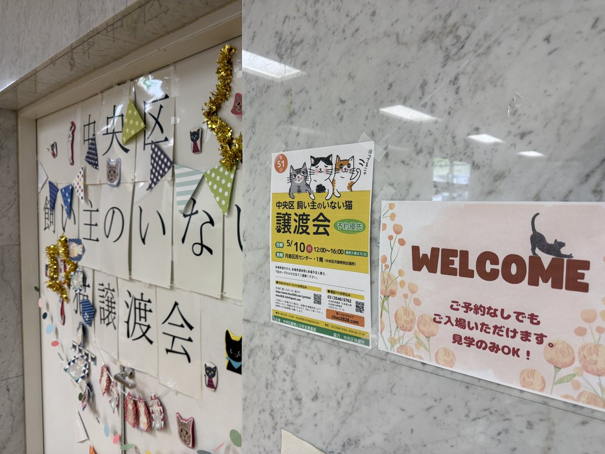 HARUMI TERRACE tweet media