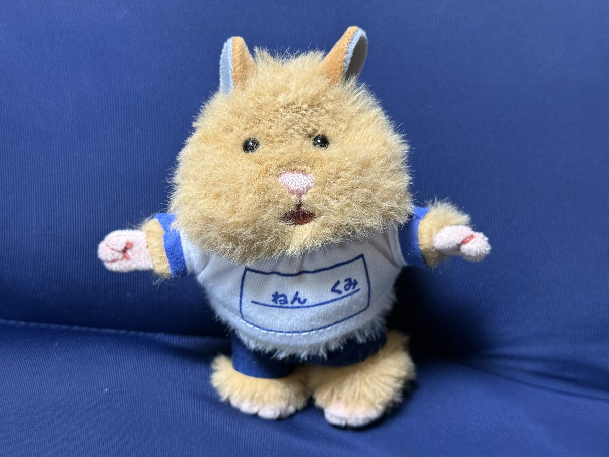 Seriaで、はむにぎりの服を買ってきたんだけども…上はギリギリ入った
