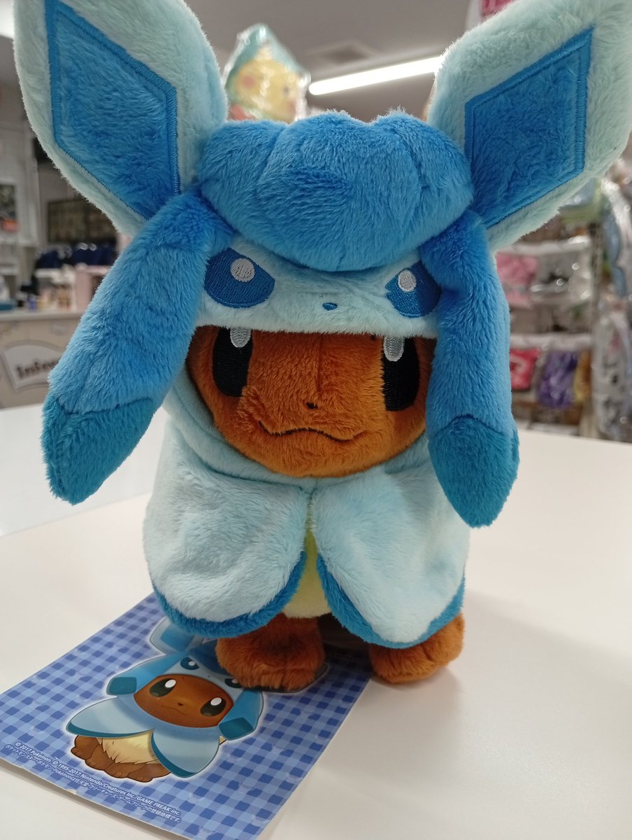 入荷情報】 『#ポケモン』 🤎イーブイ ポンチョシリーズ