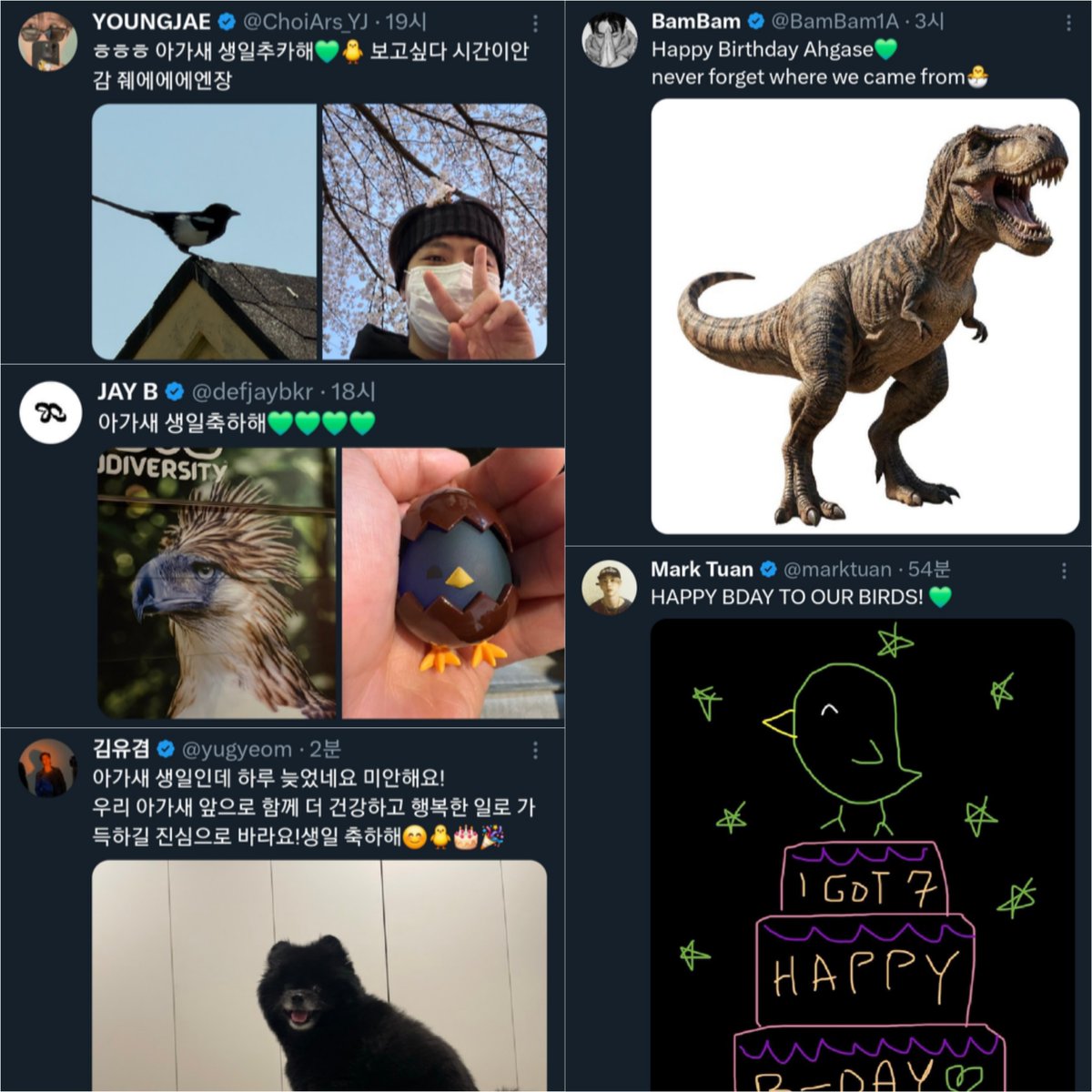 🎂🐥💚 
(ความหลากหลายทางชีวภาพมาก 555)
#Ahgase12YearsDeepWithGOT7