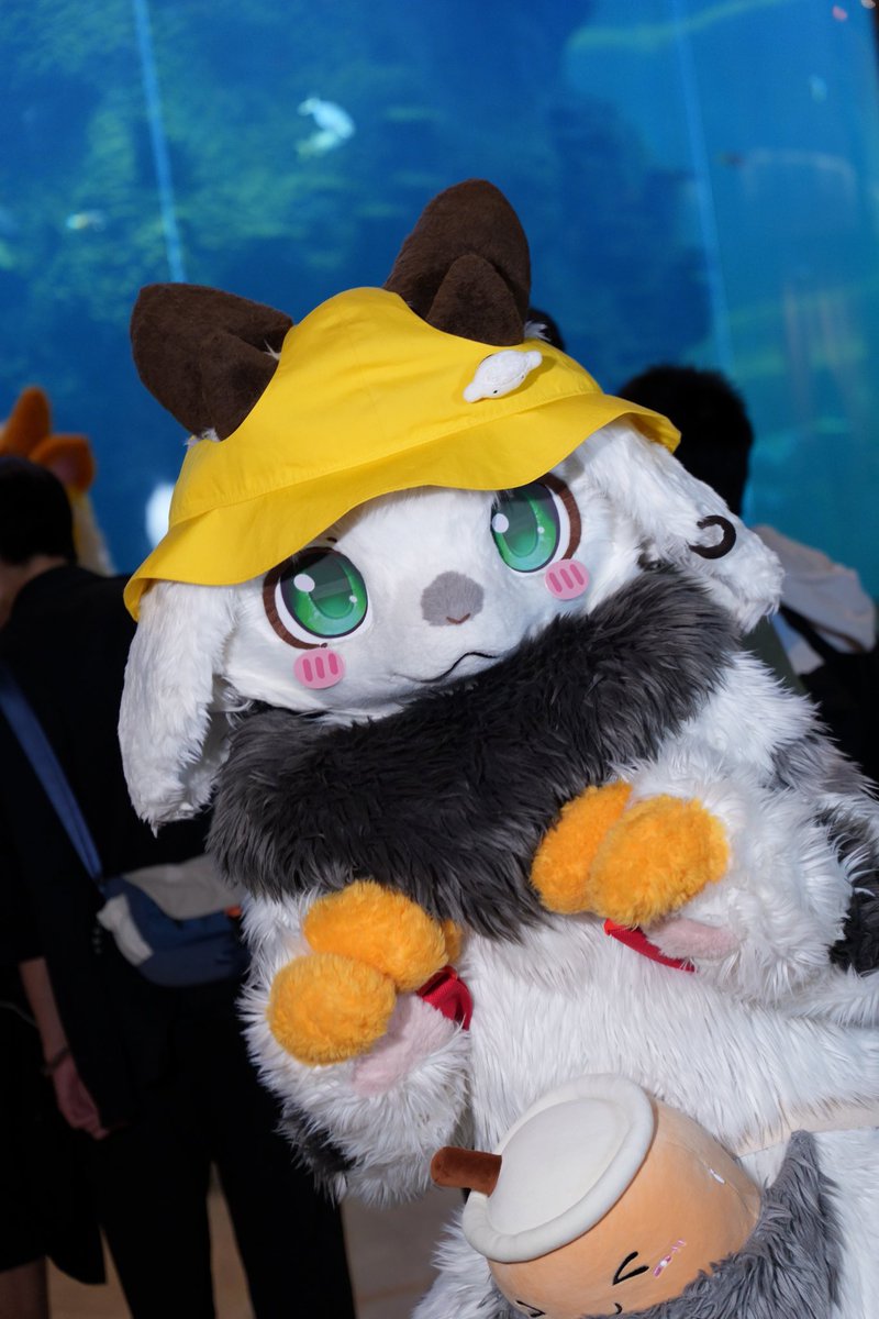 Justice_fur's tweet photo. 今日はママの日!!僕のママなりたい人ある?((X
📸:@hou_hothomas 
#FursuitEveryday #hifurry https://t.co/0uzQXCo0bf
