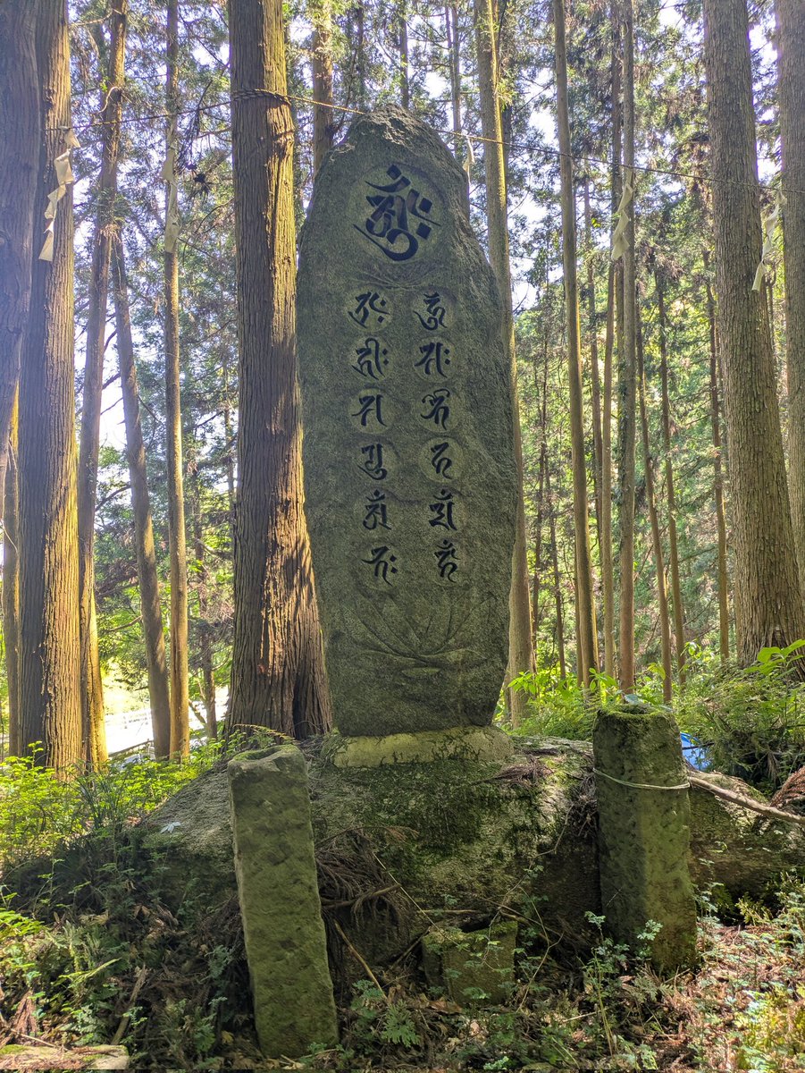ononoinahu3000's tweet photo. ファー https://t.co/oXn3LyZL9e