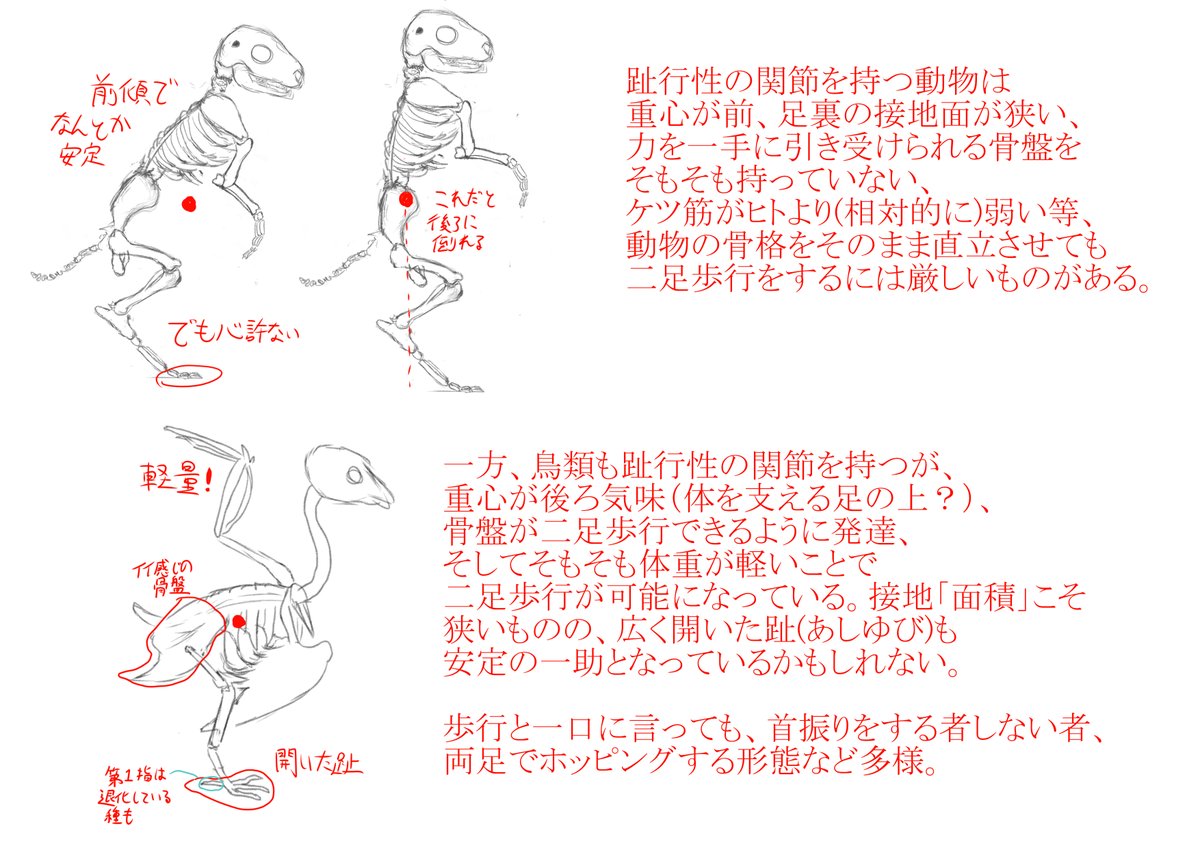 ちょっと知識ゼロからウサギ系ケモノのデザインを考えてたんだけど