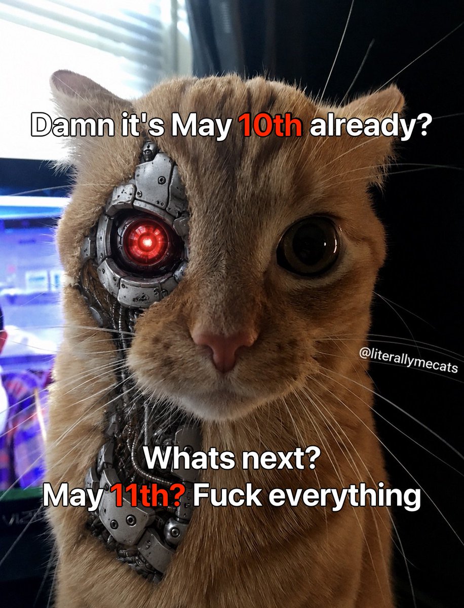 LiterallyMeCats tweet media