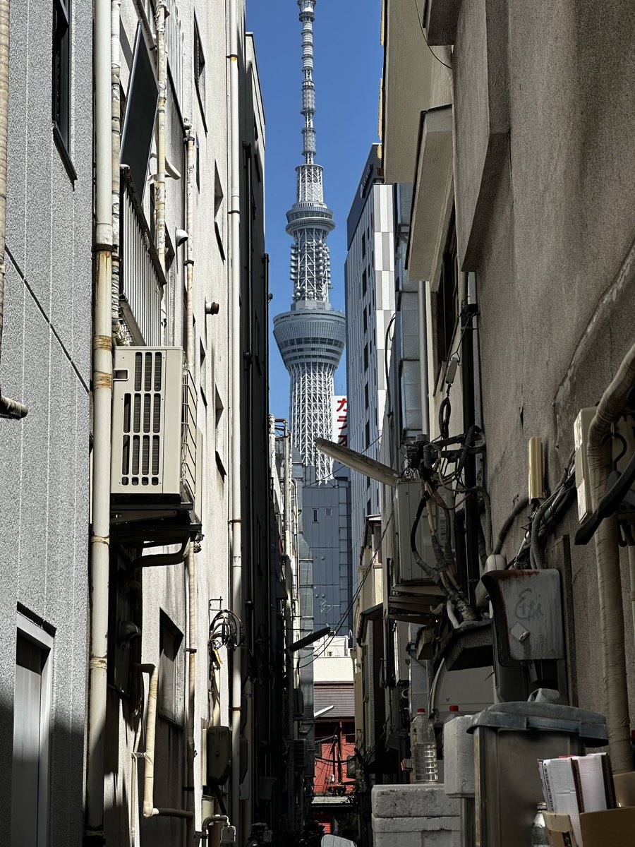 eringidoki's tweet photo. これを見に来た！🗼 https://t.co/MfdtZb5Ovb