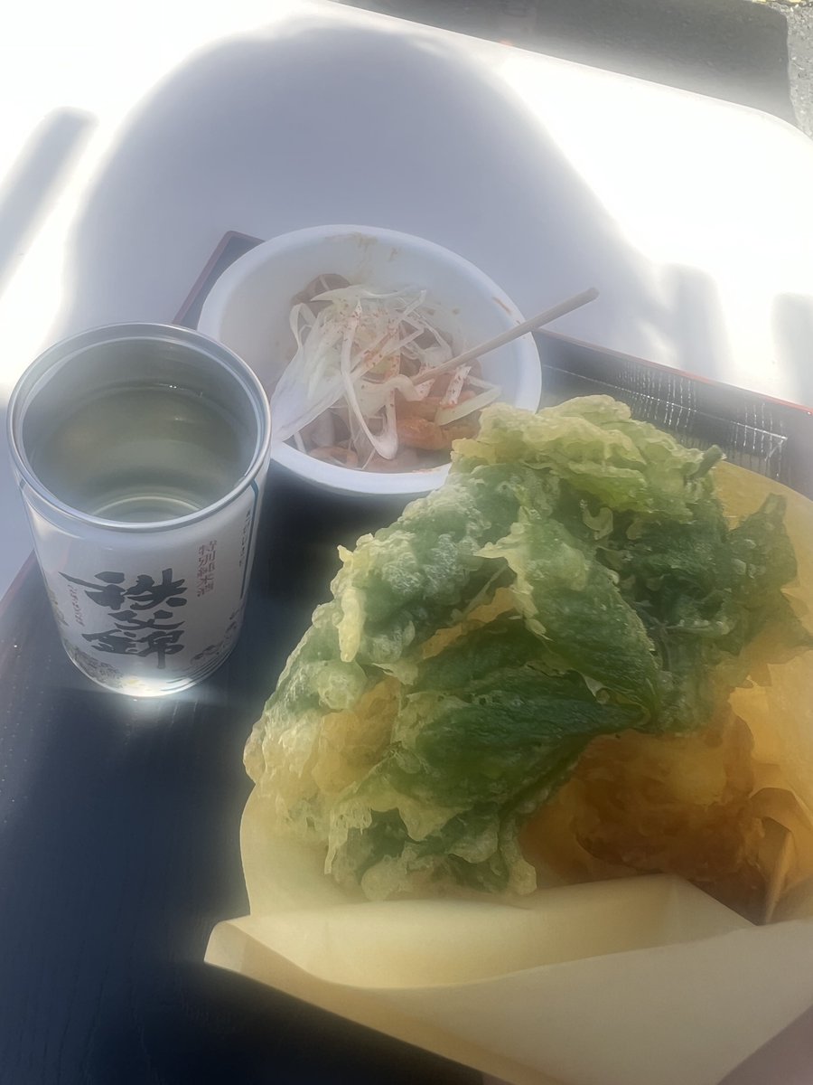 ヤマメ tweet media
