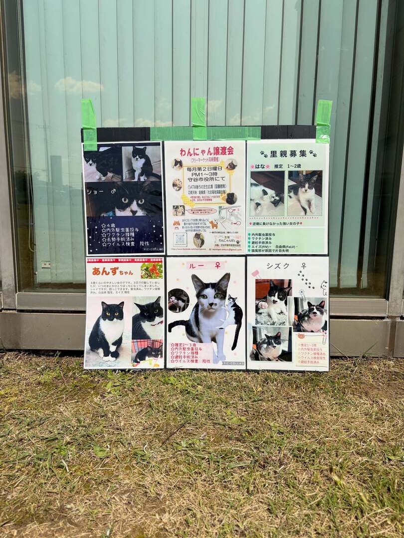 悩めるエンジニア tweet media