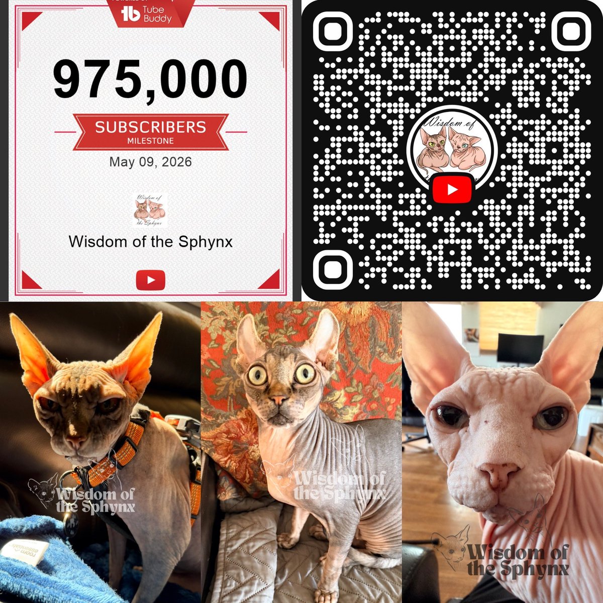 SphynxWisdom's tweet photo. 975K 😻
25K to 1 MILLION…

Let’s speed run this 🚀

👉 Share your favorite Wisdom of the Sphynx video with 2–3 people today
👉 Or repost this so more cat lovers find us

Nova 👑. Scout 🤴. Baby G 👽. Chaos incoming.

Join before 1M 👇
https://t.co/T38a8ihok6

#Sphynx #Cats https://t.co/J2L8ayu7Ob