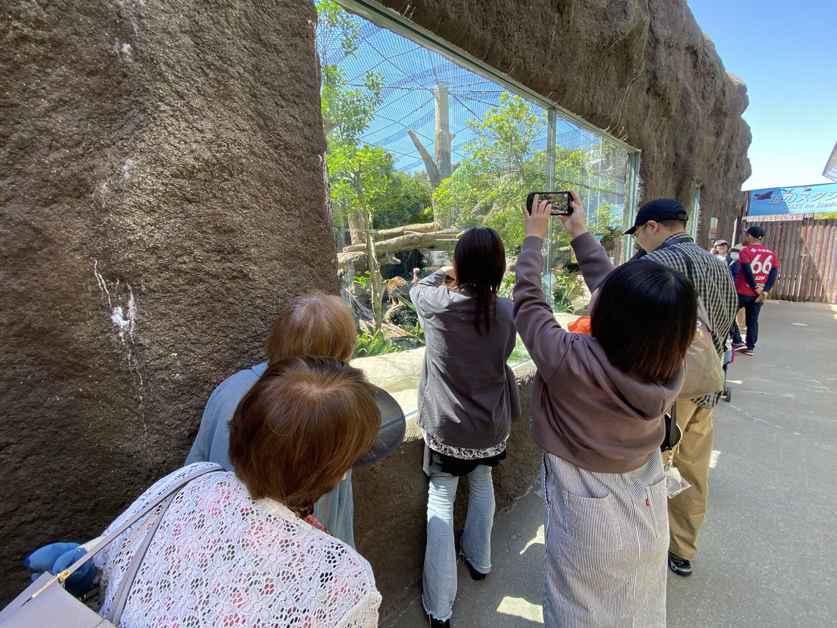 ゆるりユキオ tweet media