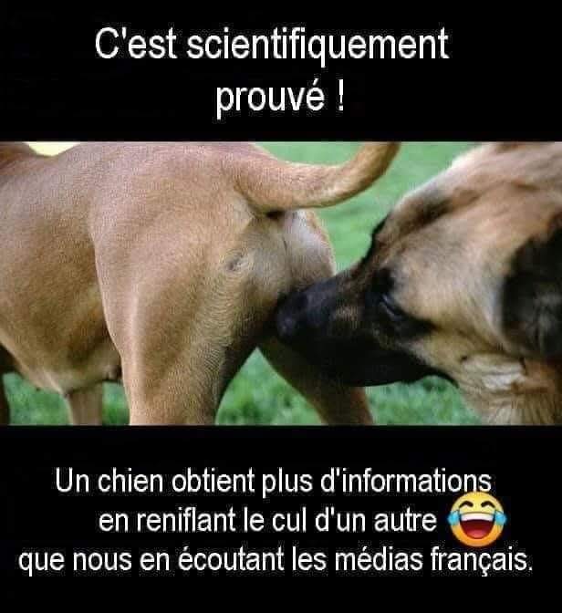AdeaClaude's tweet photo. https://t.co/xhLsCqNli9