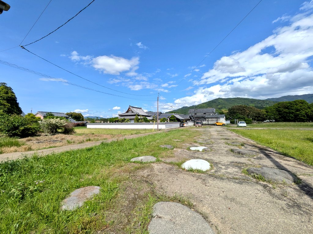 オルチア tweet media