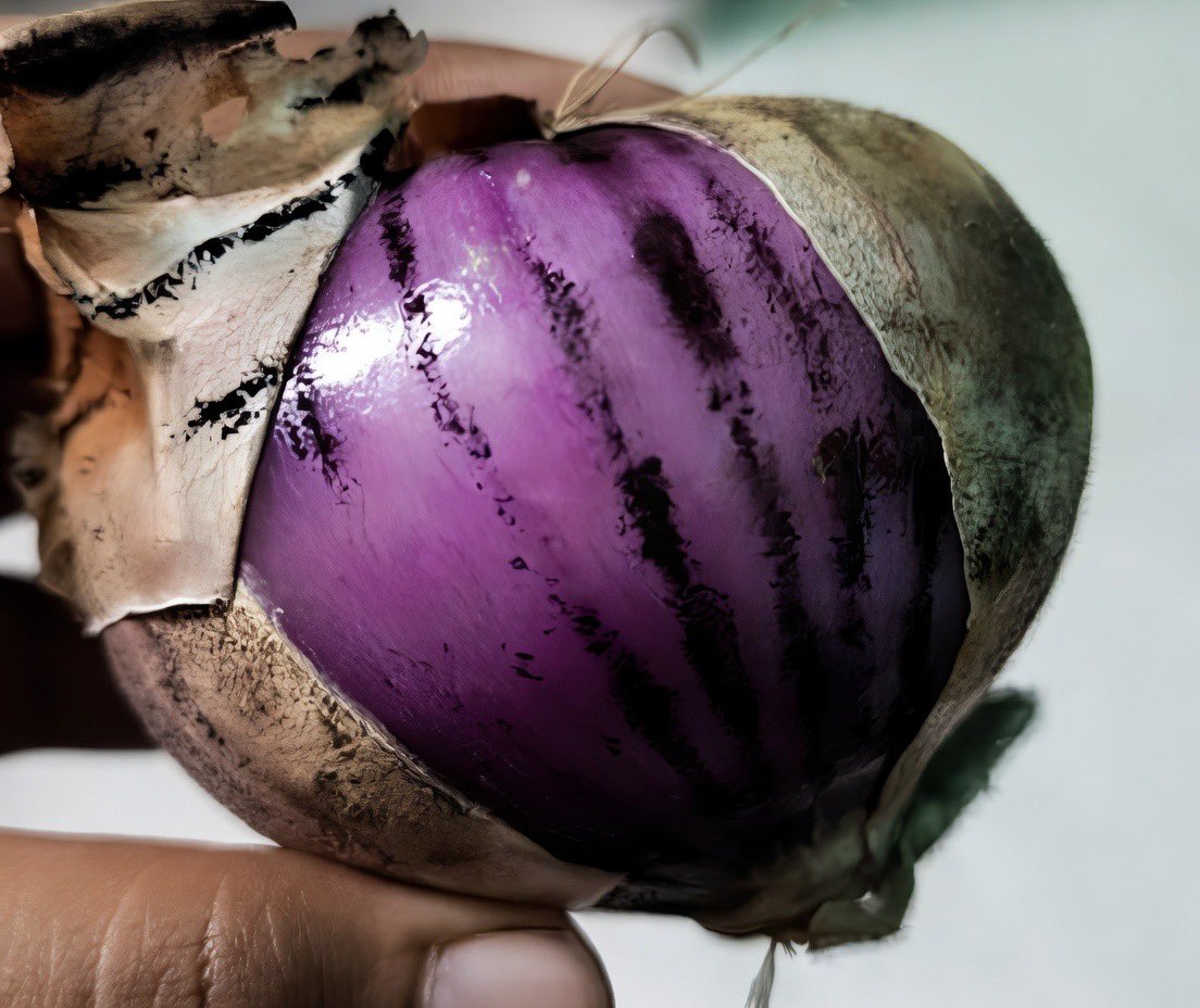 These black spots on onions are not dirt. 

They are a type of fungi called Aspergillus niger that can shut down your kidneys and liver. 

Make sure to wash them off thoroughly with concentrated salt water or vinegar.