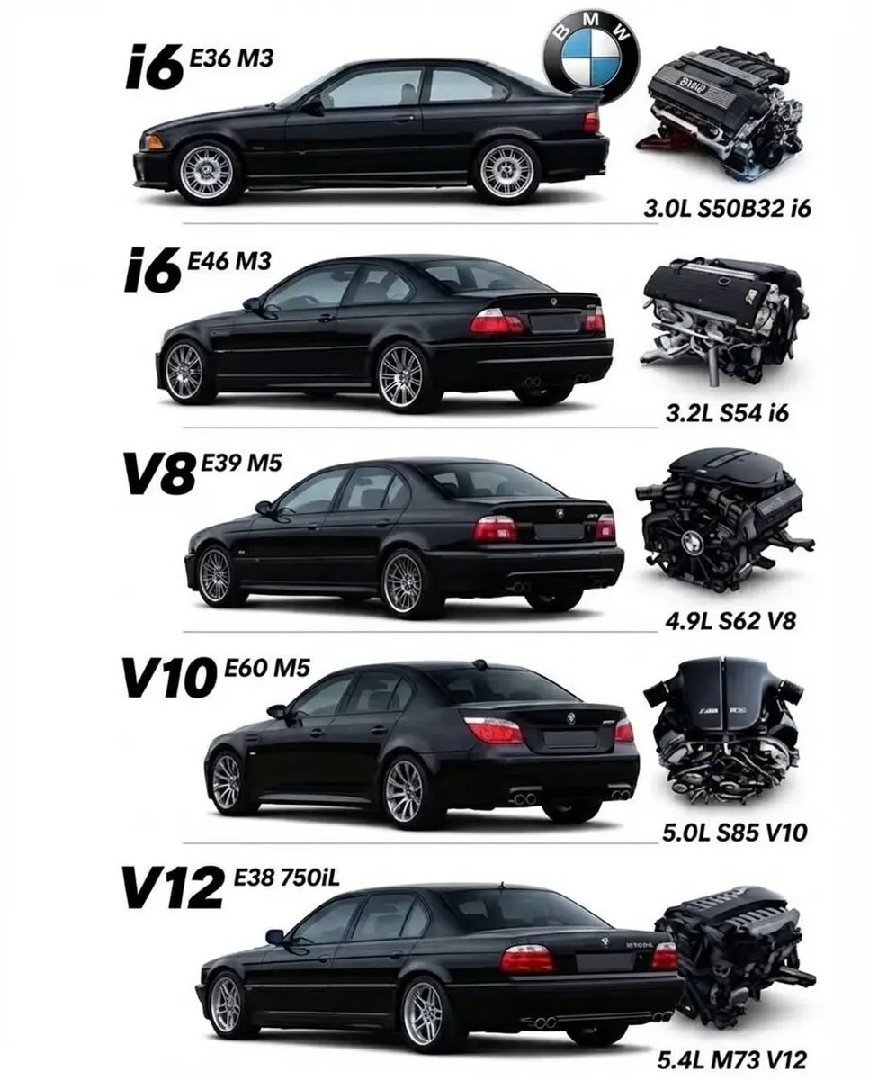 Elite Carsgasm tweet media