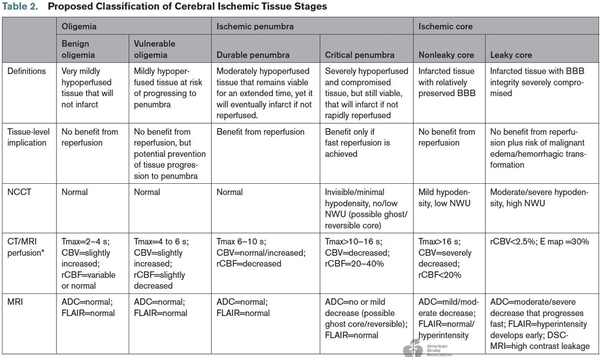 UPensato's tweet photo. Redefining the Cerebral Ischemic Core-Penumbra-Oligemia Continuum @StrokeAHA_ASA @johanna_ospel @draravindganesh @nishita_singh3 @AlmekhlafiMa @BroocksGabriel @Libero131087 @DGutierrez__V @NguyenThanhMD @VYogendrakumar @ZiniAndrea @KimBJstroke https://t.co/QmPTYNtaPt https://t.co/jnTre8AnrL