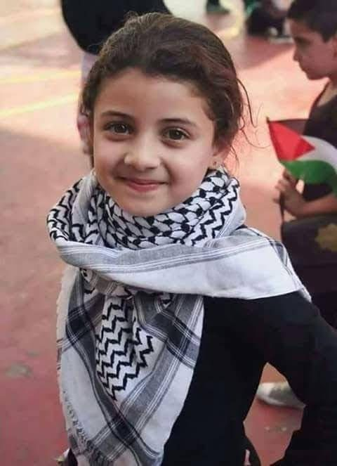 Dr. LilyFayed🇵🇸 tweet media