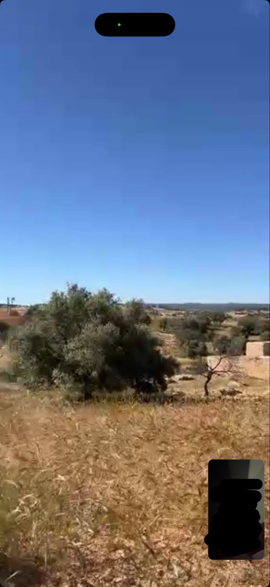 Mohamed Al Taounati 🇲🇦🇵🇸 tweet media