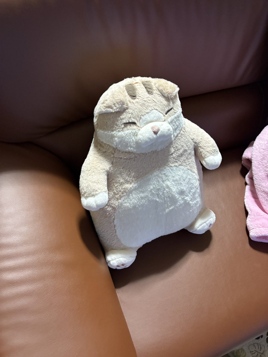 ねこ肯定感はいいぞ