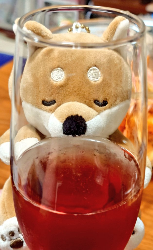 今は良いのさ 全てを忘れて🍷