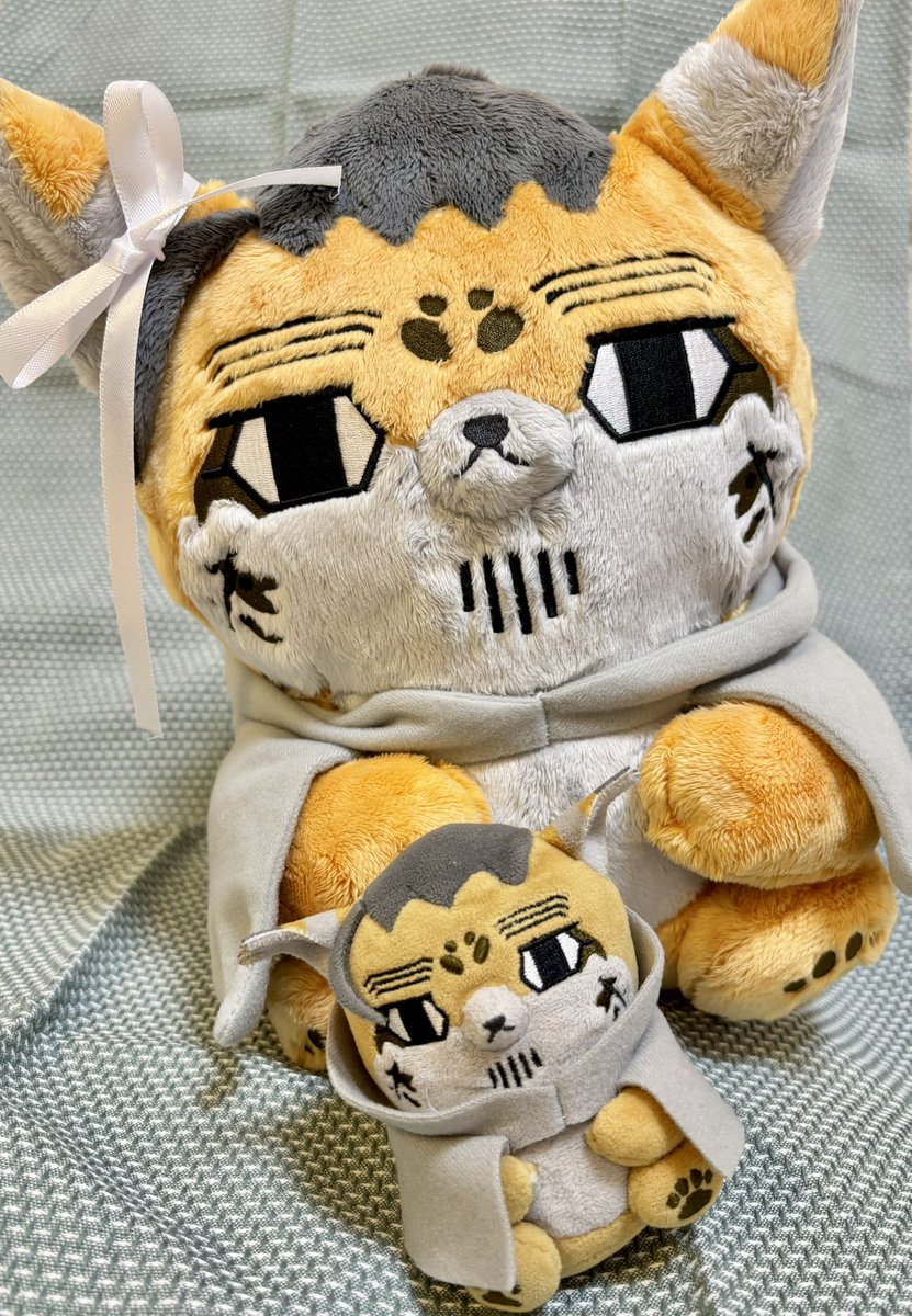 tsuru_rururu_sw's tweet photo. ほぜ尾と王子ちゃんからのおねがいです！
もうすぐしめ切りです！
もしまだの人いたら、アンケトしてください！
おねがいします！ https://t.co/mFFr6odcTe