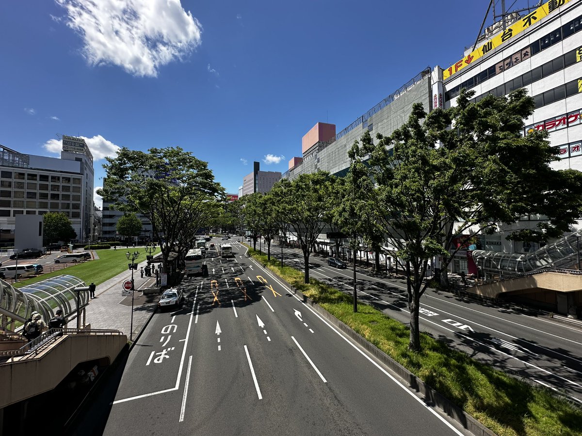 kkgnw2006's tweet photo. 仙台の街路樹は日本一？

日本一「街路樹」にやさしい都市と言われる、仙台。

結論、川崎市に比べ圧巻
仙台が自信持って街路樹政策の「先進都市」「杜の都」と、言うだけあります。

今後、川崎市でもできるのか？
時間かかるし大人の事情もあるだろうけど、一部箇所からでもどうですかね。 https://t.co/imlvJybh7n