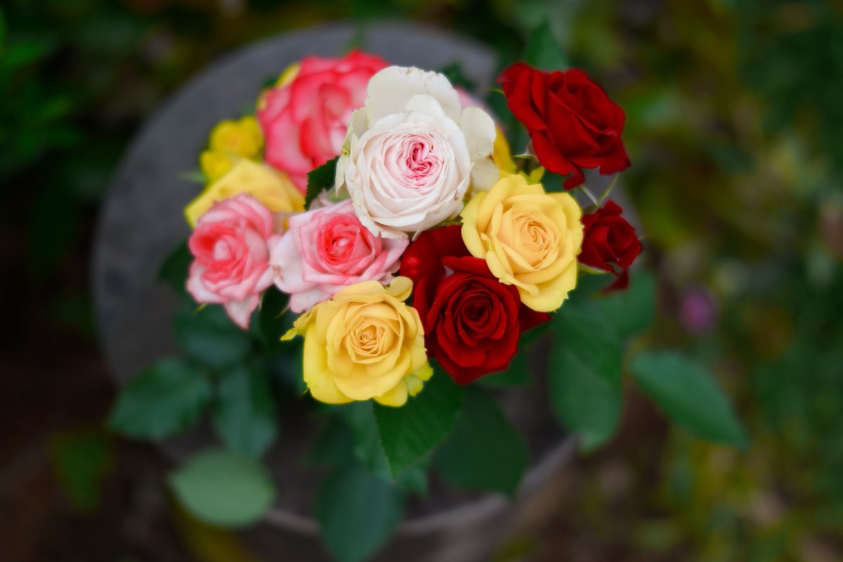 kaze_sawaki's tweet photo. 捧げられた花 https://t.co/1oYak16nrQ
