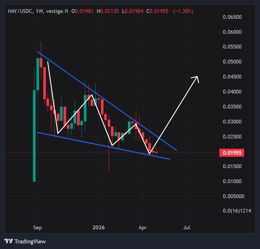 moonboy.algo 🌕 tweet media