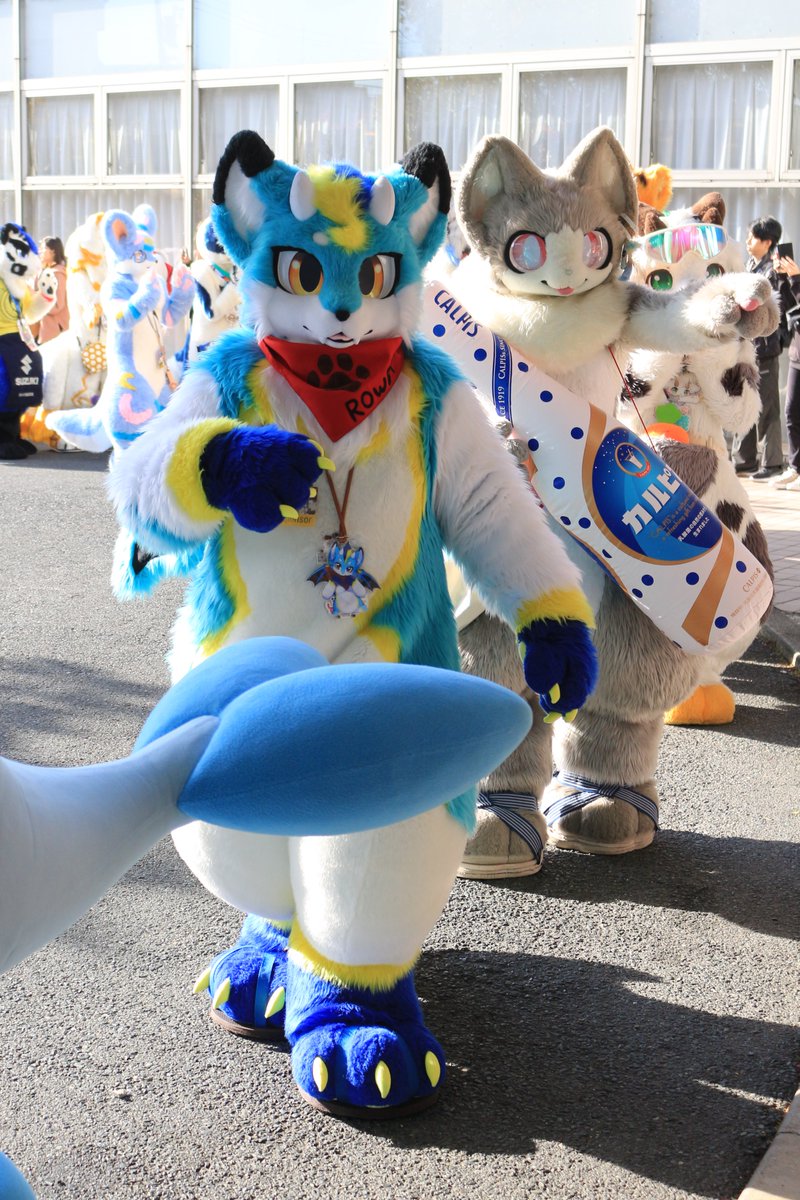 是政　KOREMASA tweet media