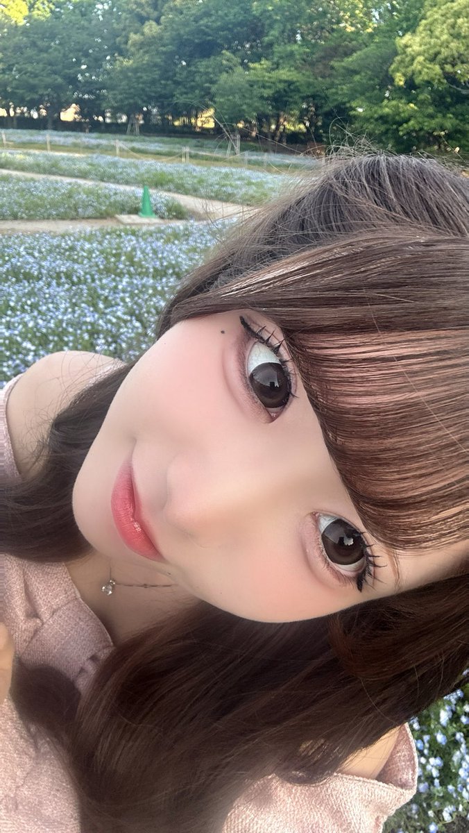 2yanllc's tweet photo. ちらっ https://t.co/VChes5uoYj