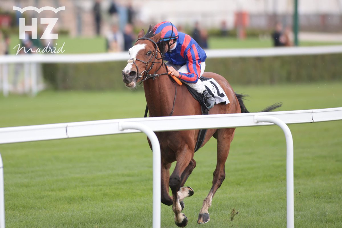 HipodromoMadrid's tweet photo. Primera carrera: Premio Corpa

🥇 Sirjan, Cuadra Cum Laude Racing, preparación de @tsereteli_a y monta de @jgelabertb 
🥈 Shackleton 
🥉 Aniol

¡Enhorabuena a los ganadores!🏇🏆 https://t.co/HxPNOmOExF