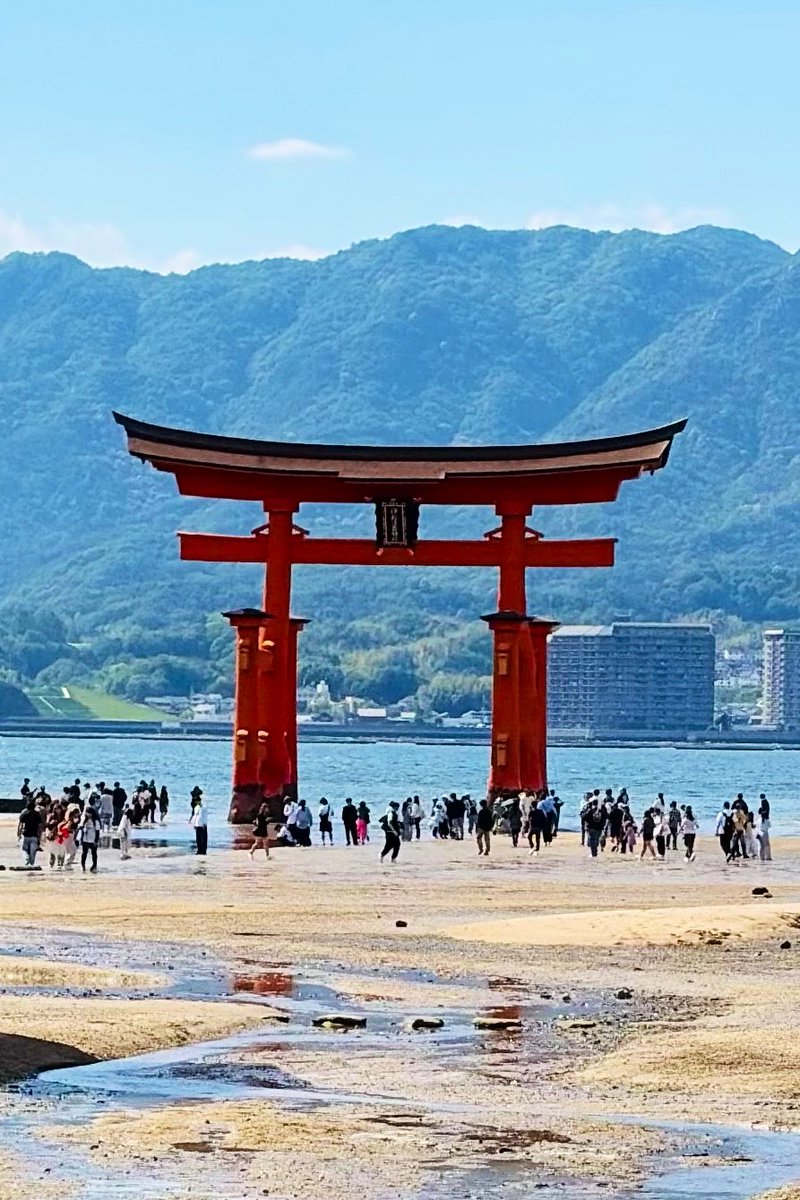 Starly_Vis's tweet photo. 日本三景ということで宮島にて⛩️ https://t.co/0fnqQHdt5h