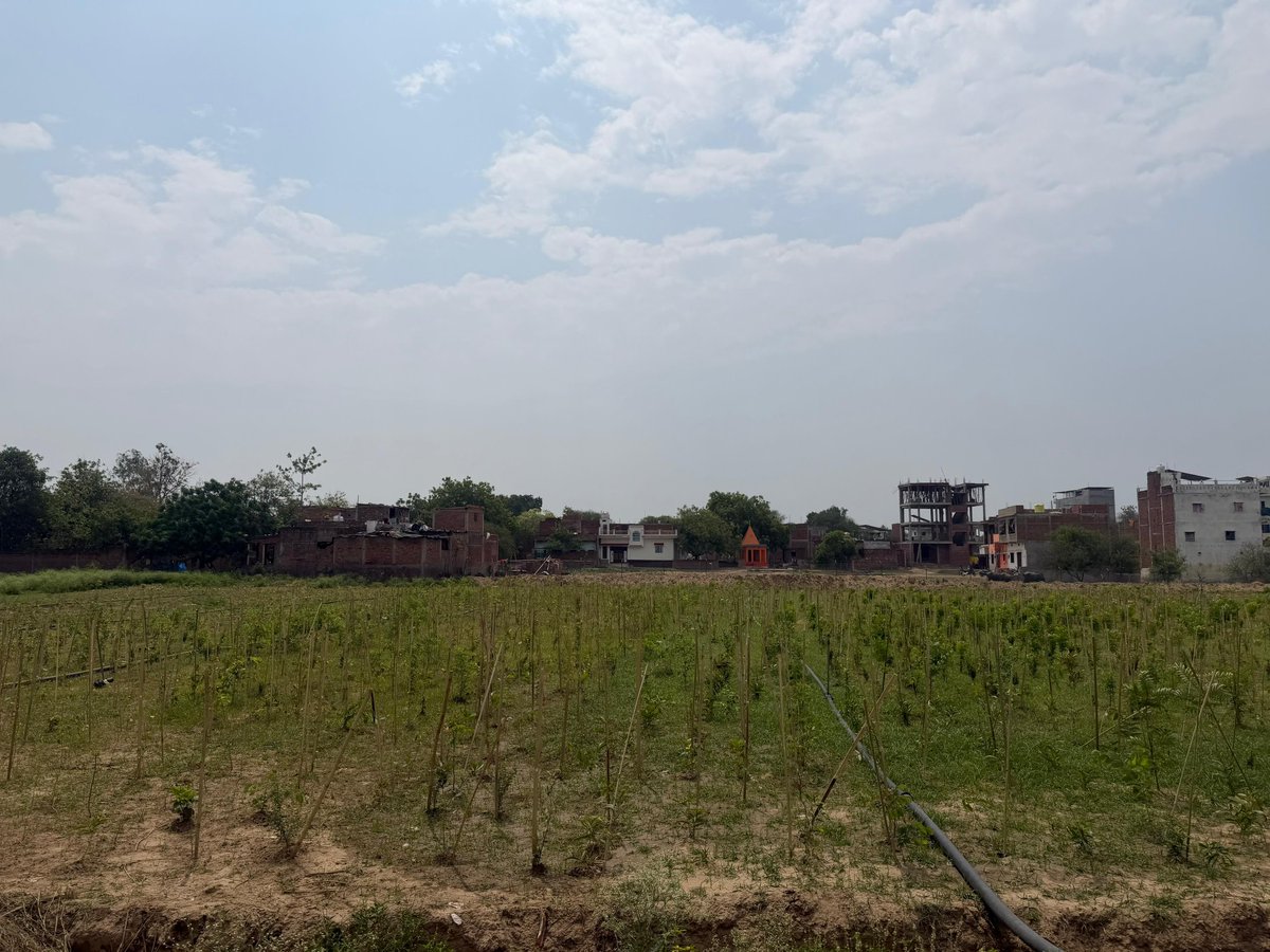 नगर निगम वाराणसी Nagar Nigam Varanasi tweet media