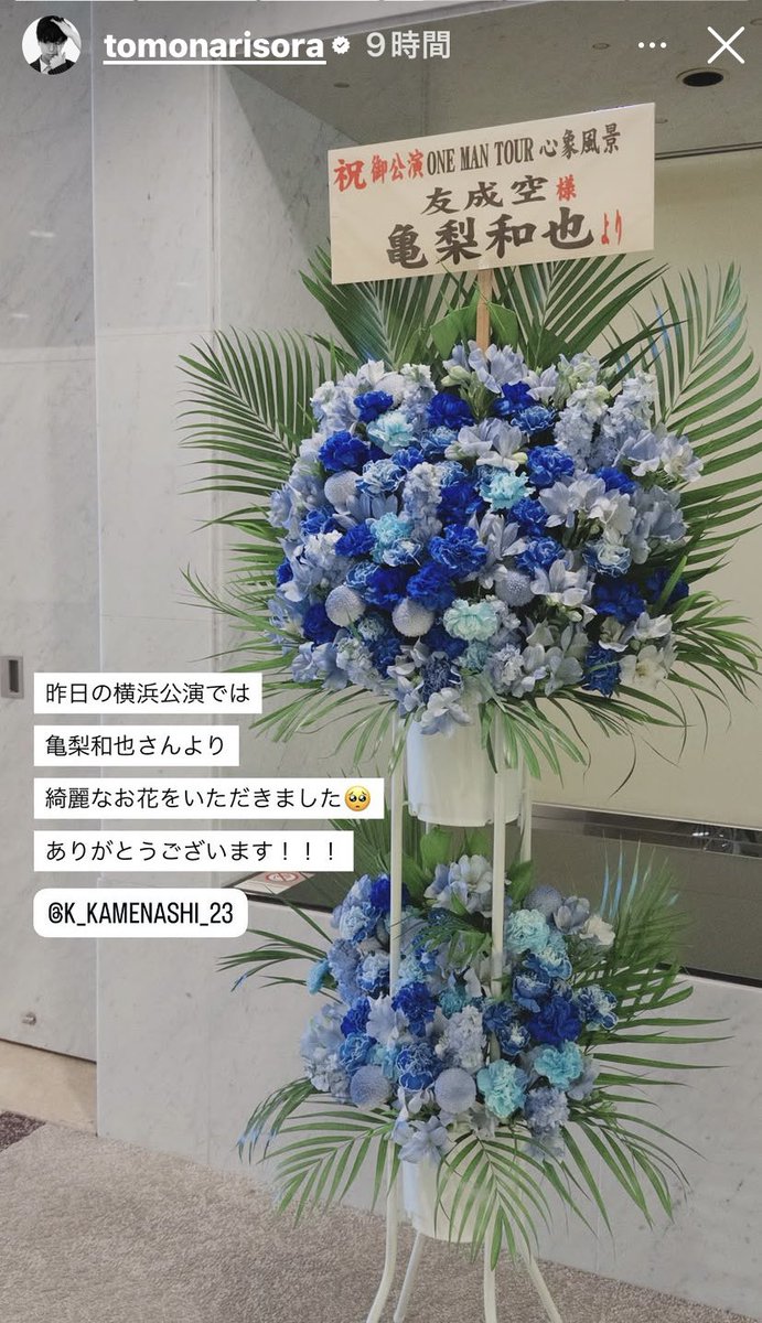 帆布(HONU) 𓆉 tweet media
