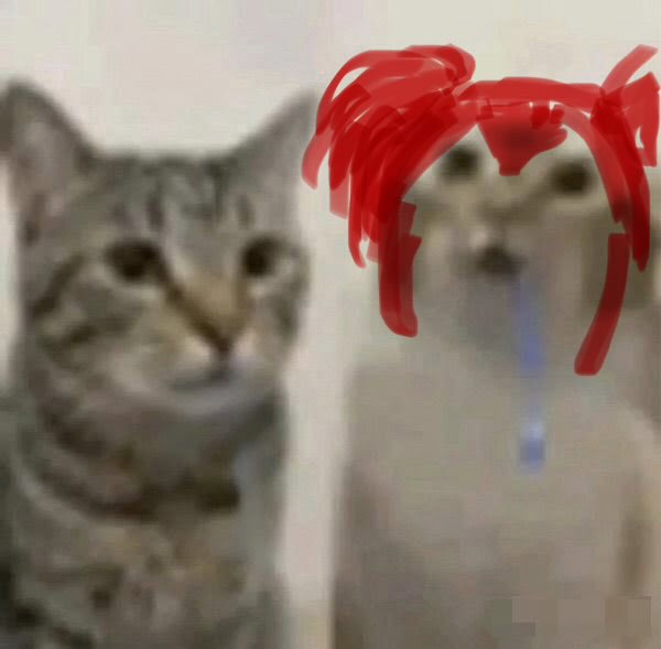 JJ 👁️👅👁️ tweet media