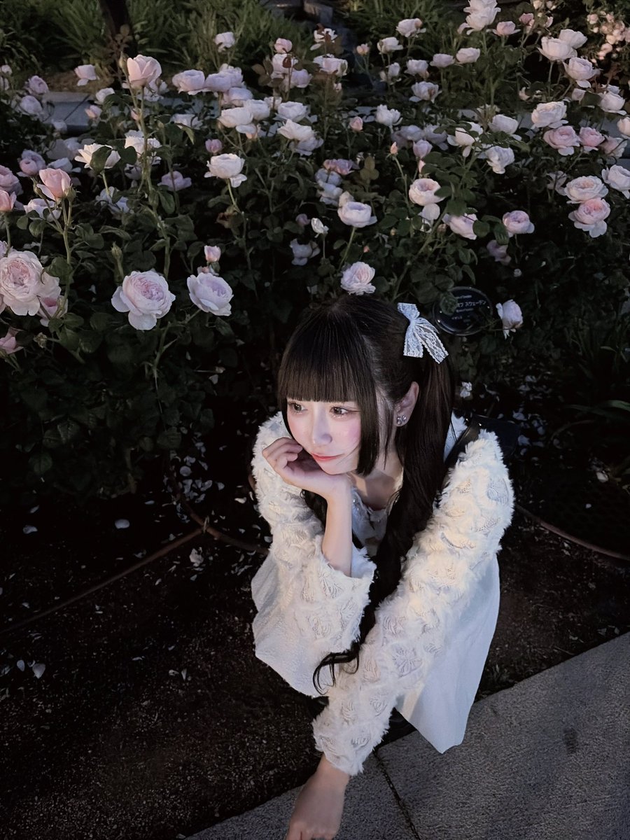りあちゃん (@Pomeraria) / Posts / X