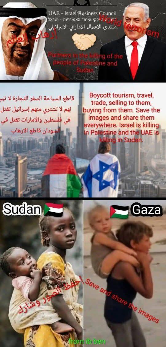 أبو مروة المهاجر tweet media