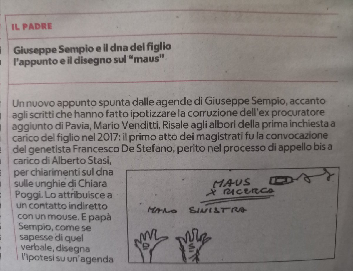 SerpiDi tweet media