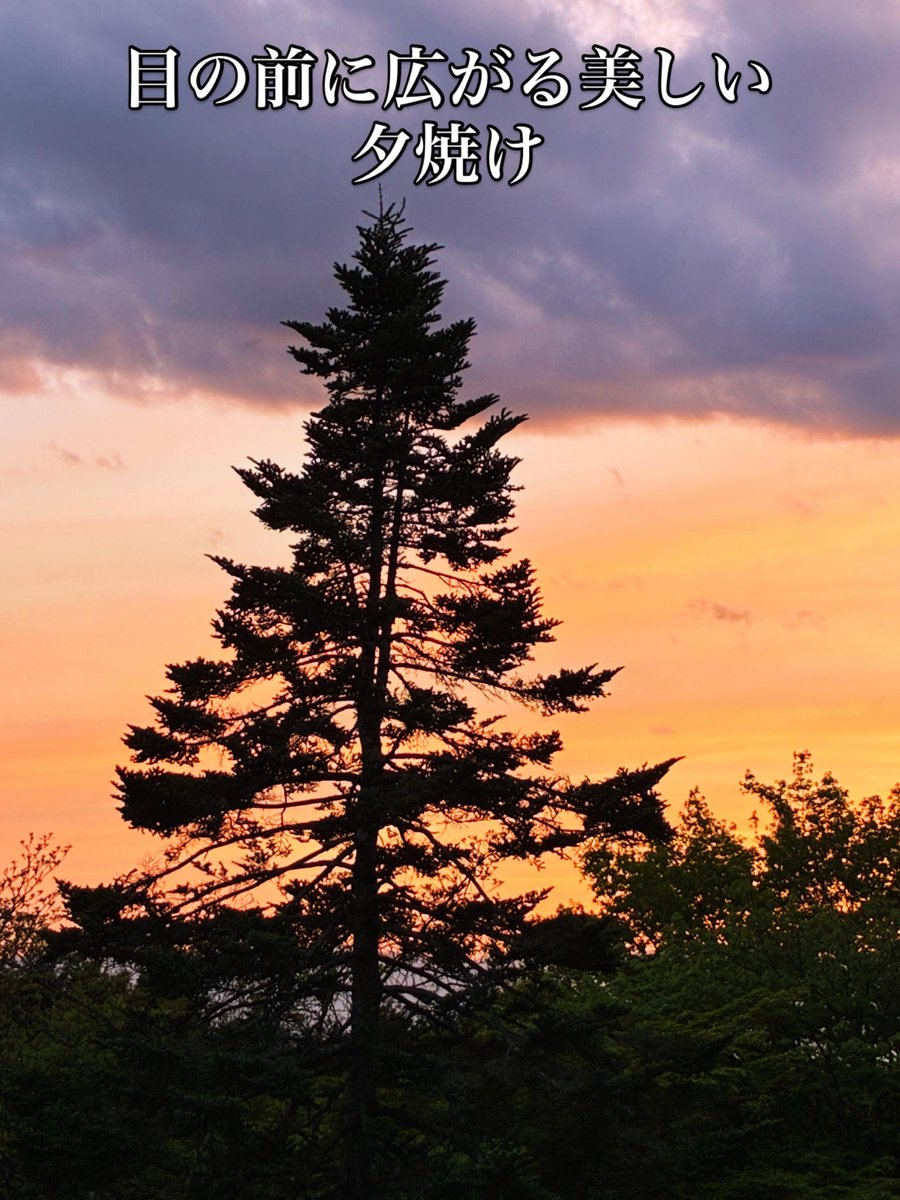 PICAomotefuji's tweet photo. よく晴れた日の夕焼けは一段と美しく､
うっとり見惚れてしまいます。
#PICA表富士#夕焼け#癒やし空間#富士山二合目キャンプ場 https://t.co/DNPJyh262O