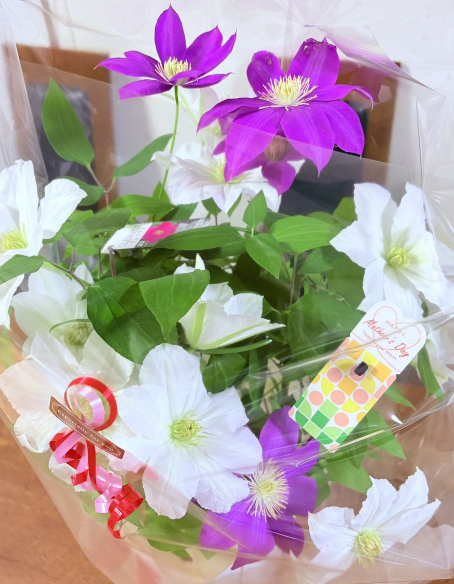 Mother′s Day🌺 今年もお花をもらったよ💐クレマチスの舞姫と白雪姫